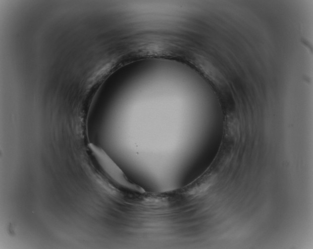 X0000097780450200803071353