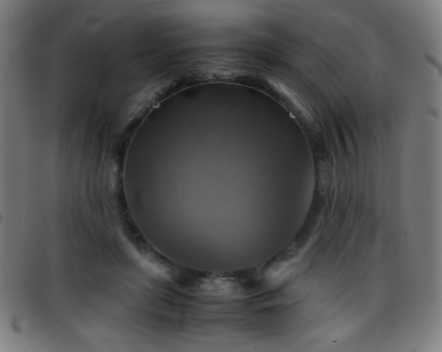 X0000097780451200803071353