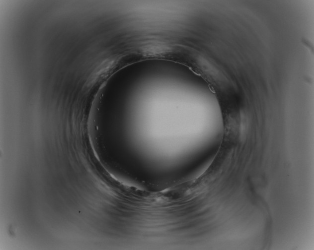 X0000097780452200803071353