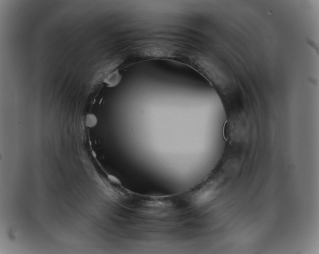 X0000097780453200803071353