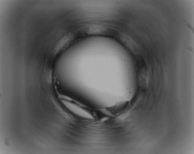 X0000097780454200803071353