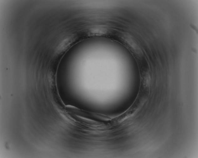 X0000097780455200803071353