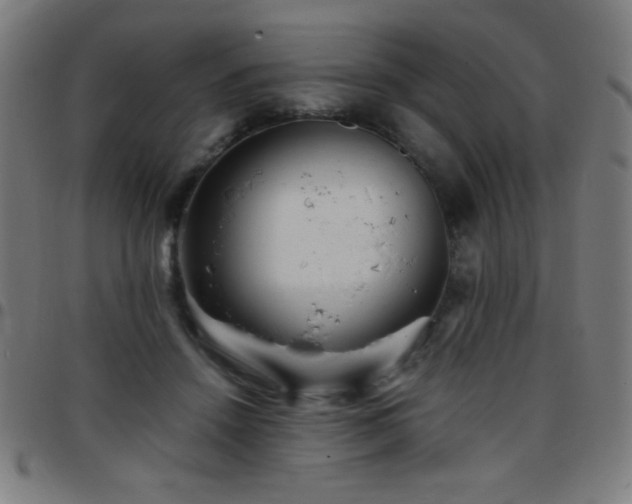 X0000097780456200803071353