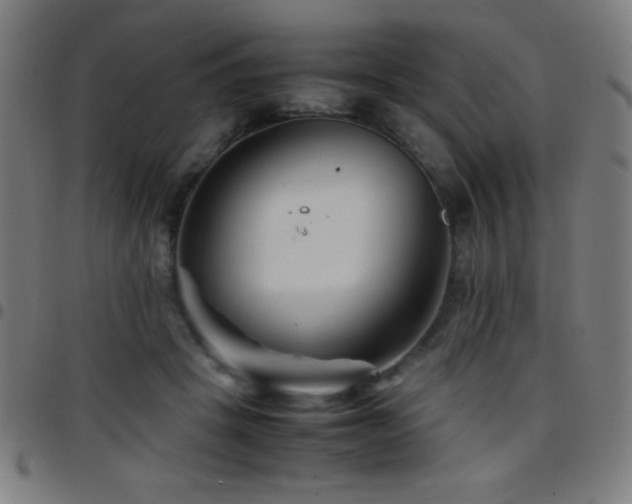 X0000097780457200803071353