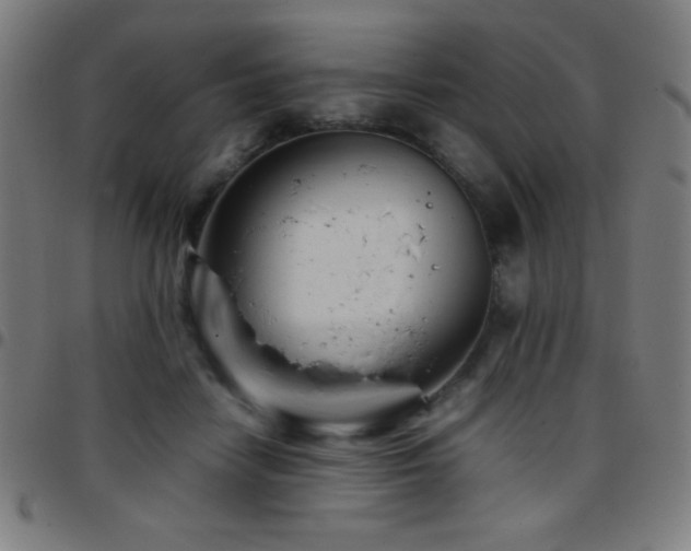 X0000097780458200803071353