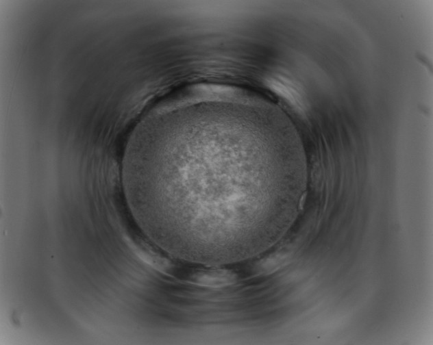 X0000097780459200803071353