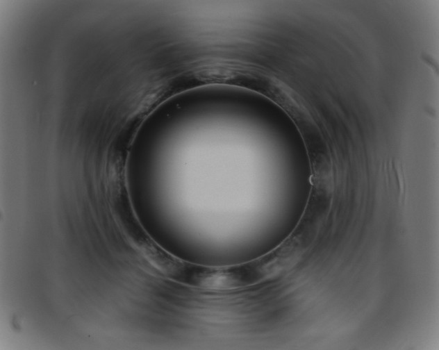 X0000097780460200803071353