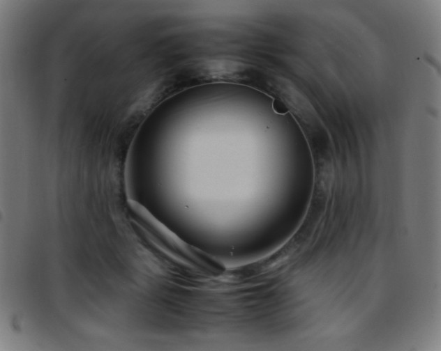 X0000097780461200803071353