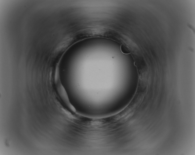 X0000097780462200803071353