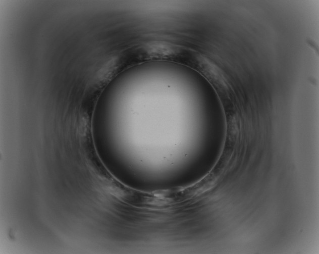 X0000097780463200803071353
