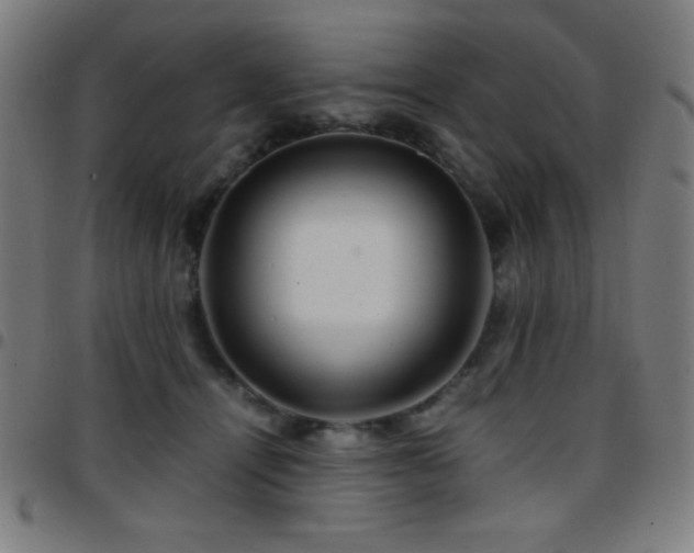 X0000097780464200803071353