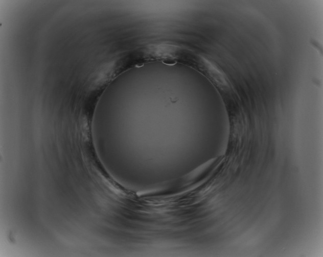 X0000097780465200803071353