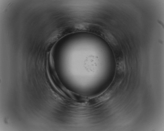 X0000097780466200803071354