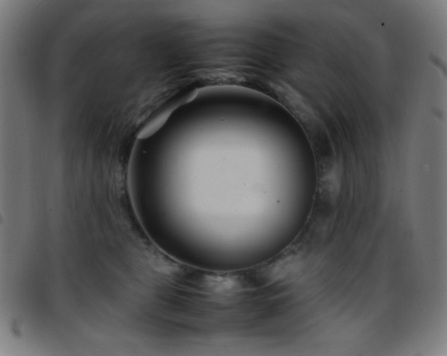 X0000097780469200803071354