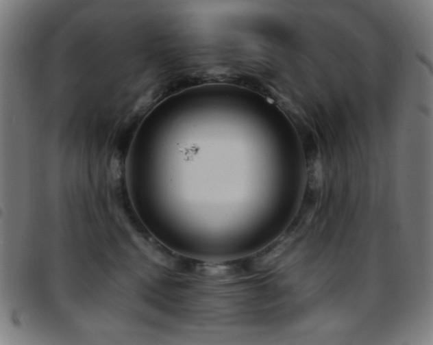 X0000097780472200803071354