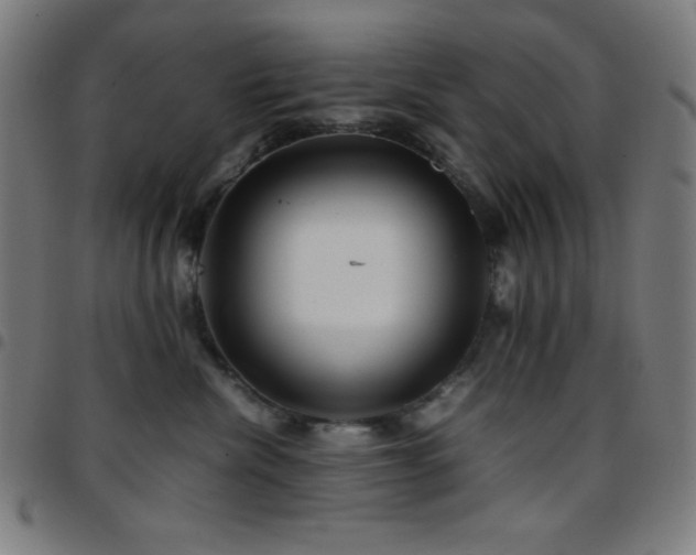 X0000097780476200803071354