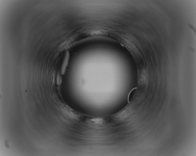 X0000097780478200803071354