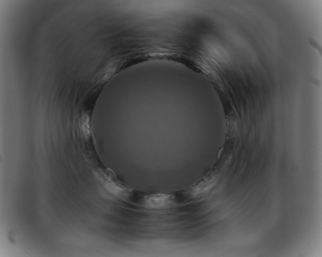 X0000097780479200803071354