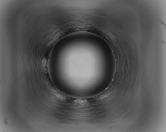 X0000097780480200803071354