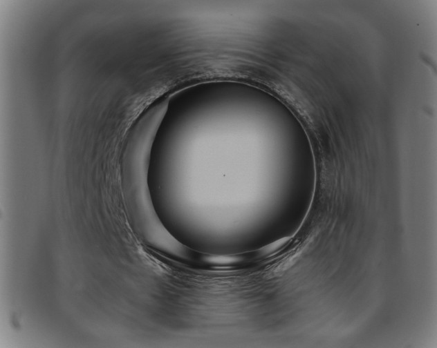 X0000097780481200803071353