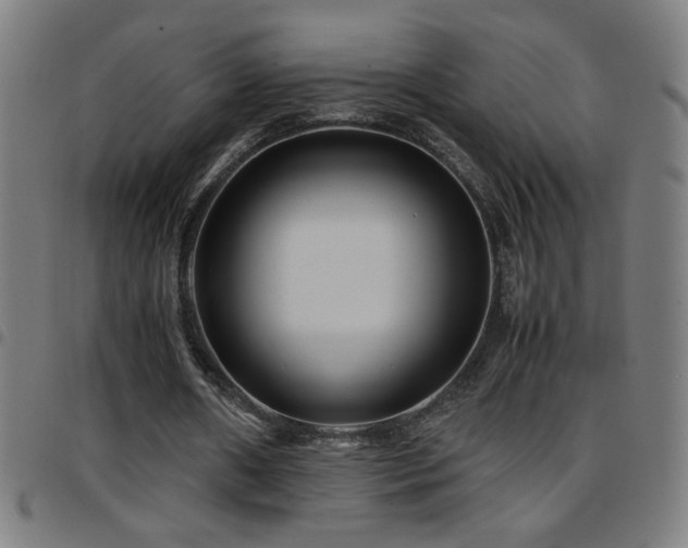 X0000097780482200803071353