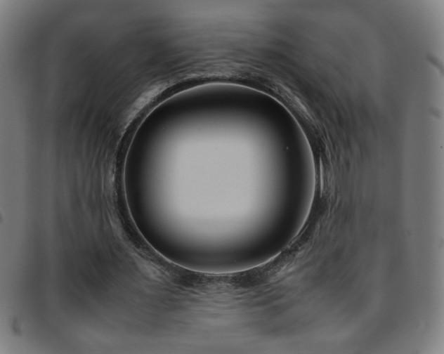 X0000097780483200803071353