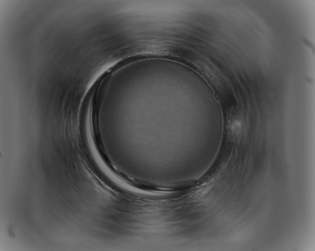 X0000097780484200803071353