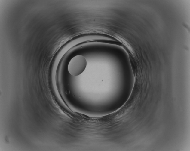 X0000097780485200803071353