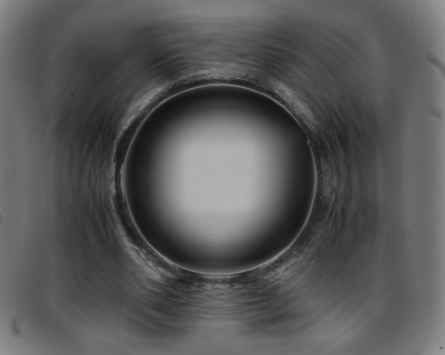 X0000097780486200803071353