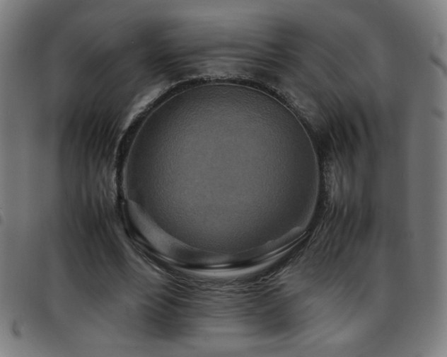 X0000097780488200803071353