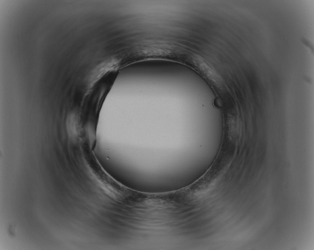 X0000097780490200803071353