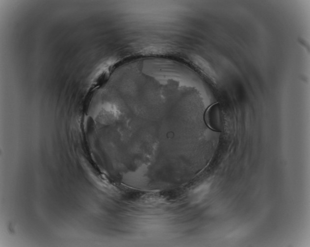 X0000097780491200803071353