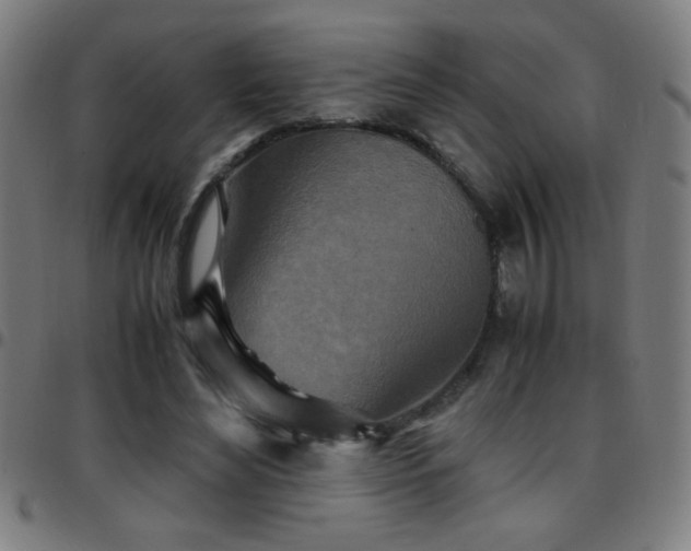 X0000097780492200803071353