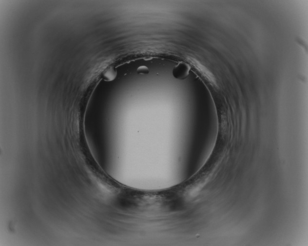 X0000097780493200803071353