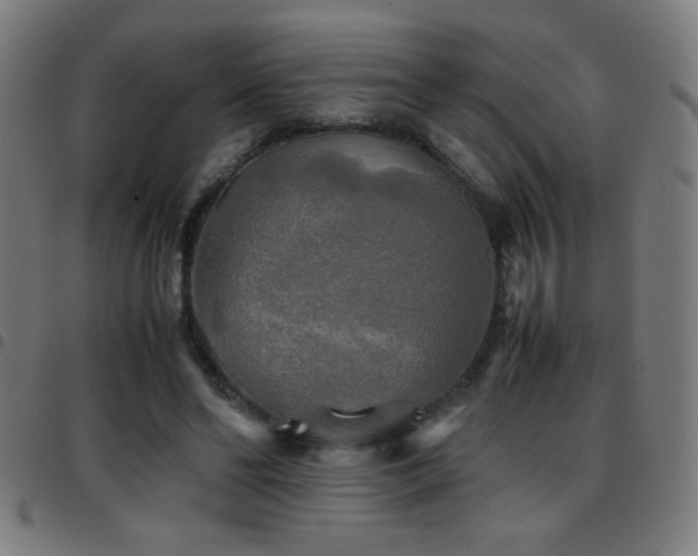 X0000097780494200803071353