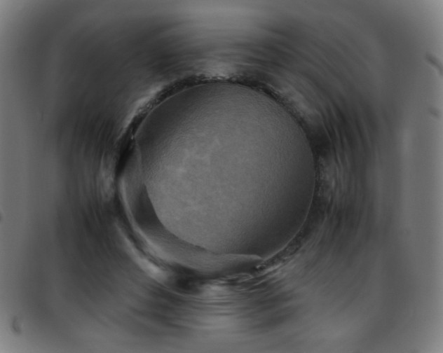 X0000097780496200803071353