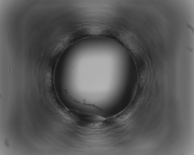 X0000097780497200803071353