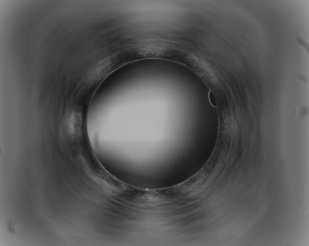 X0000097780498200803071353