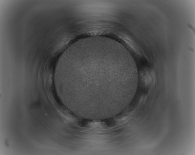 X0000097780499200803071353