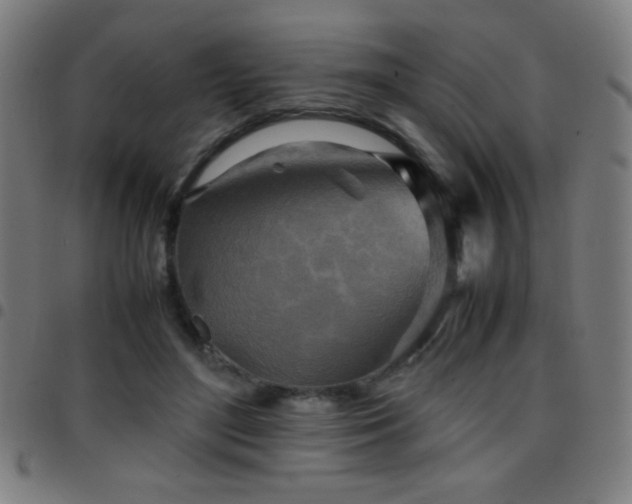 X0000097780500200803071353