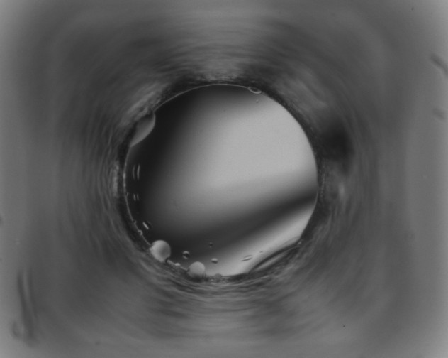 X0000097780501200803071353