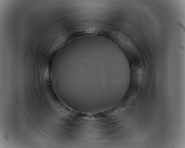 X0000097780502200803071353
