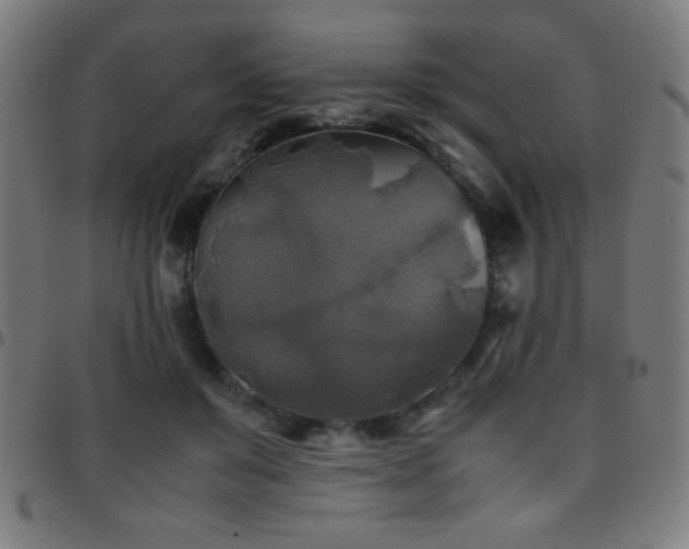 X0000097780503200803071353