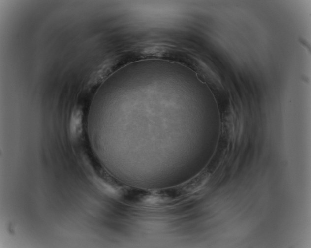 X0000097780504200803071353
