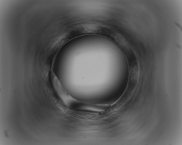 X0000097780505200803071353