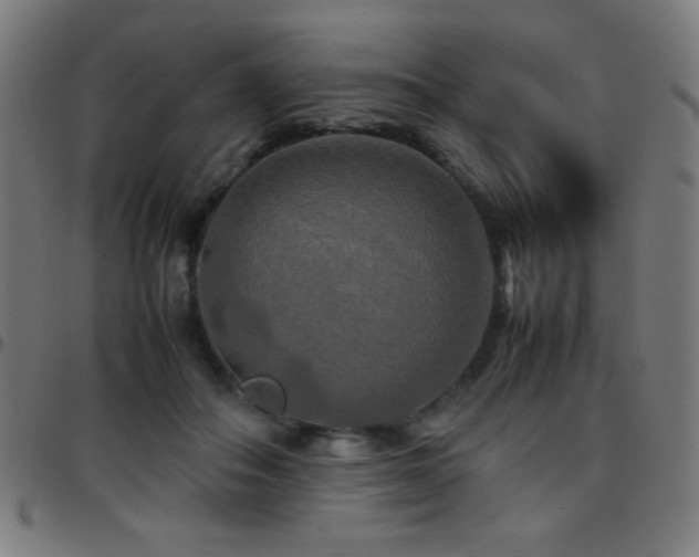 X0000097780506200803071352