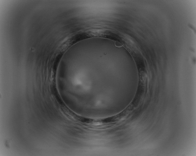 X0000097780507200803071352