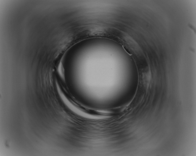 X0000097780508200803071352