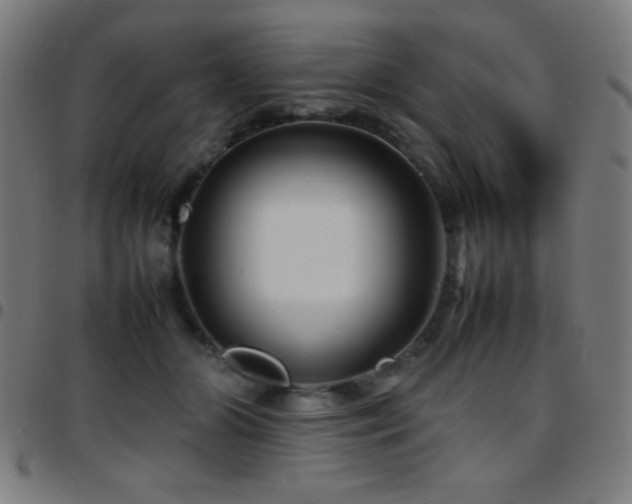 X0000097780510200803071352