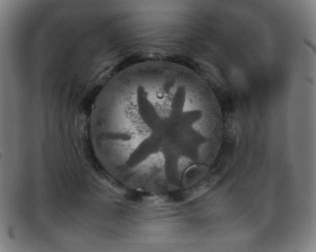 X0000097780511200803071352